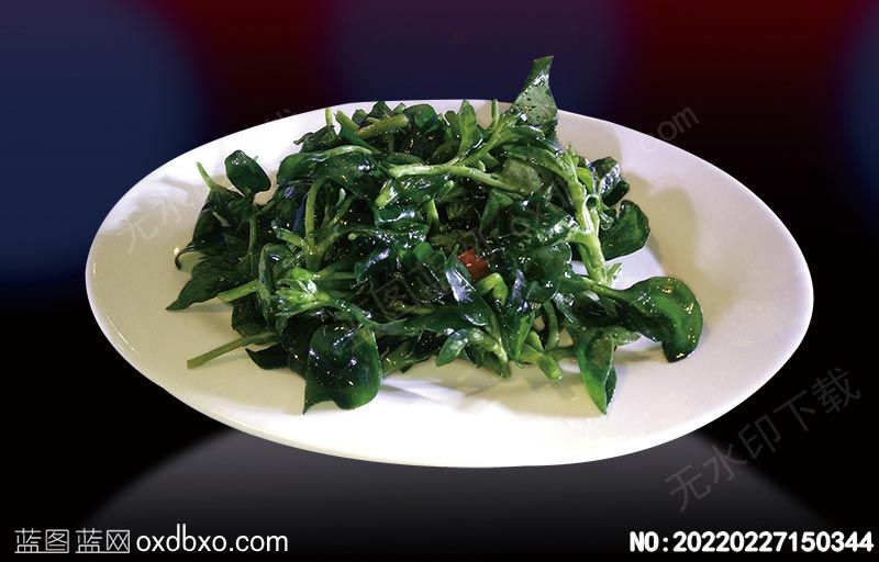 NO-20220227150344.jpg