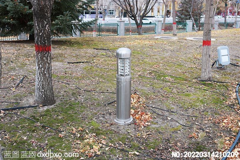 NO-20220314210209.jpg
