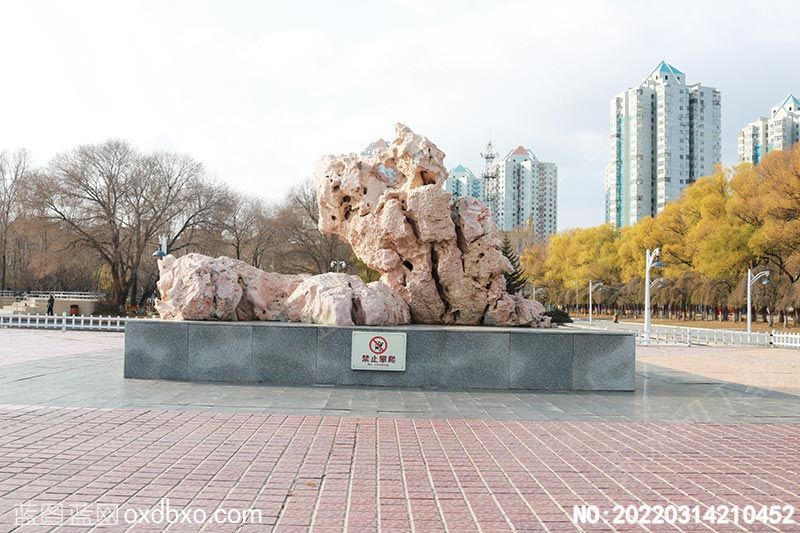 NO-20220314210452.jpg