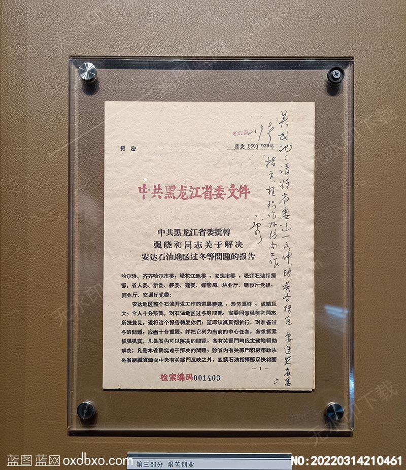 NO-20220314210461.jpg