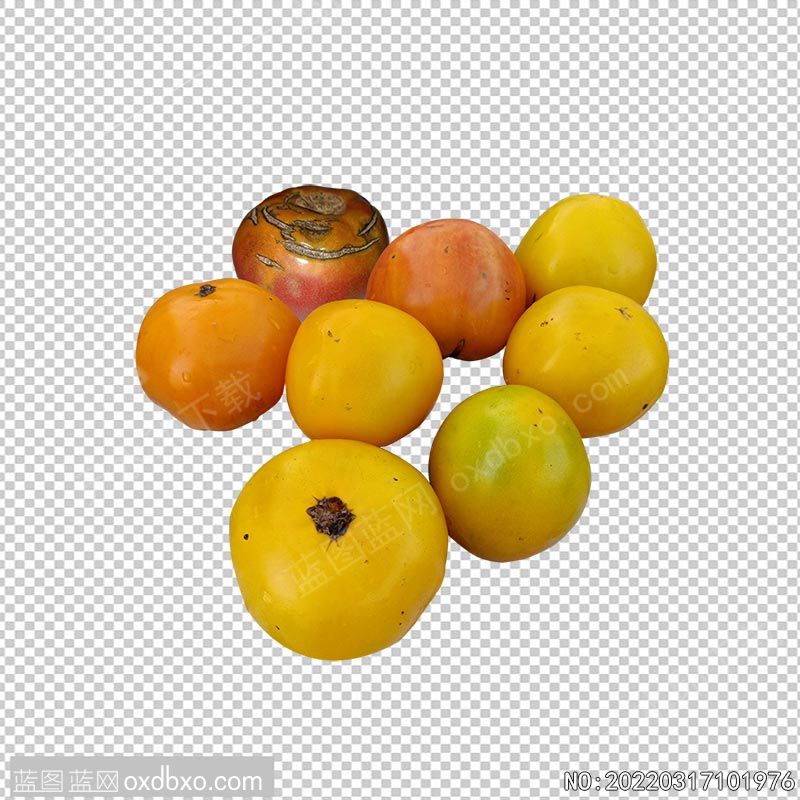 NO-20220317101976.jpg