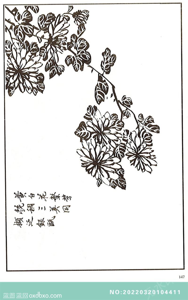 NO-20220320104411.jpg