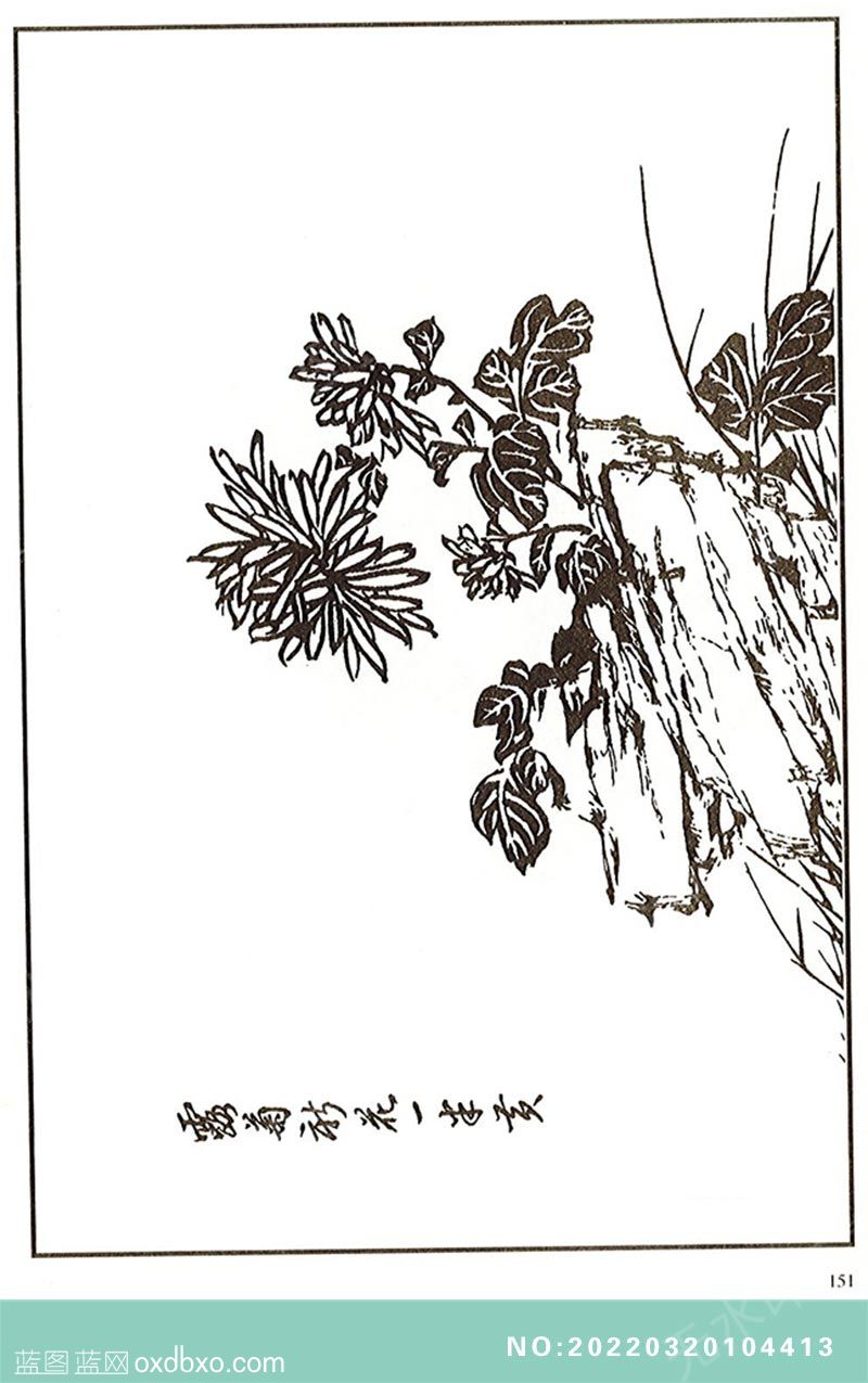 NO-20220320104413.jpg