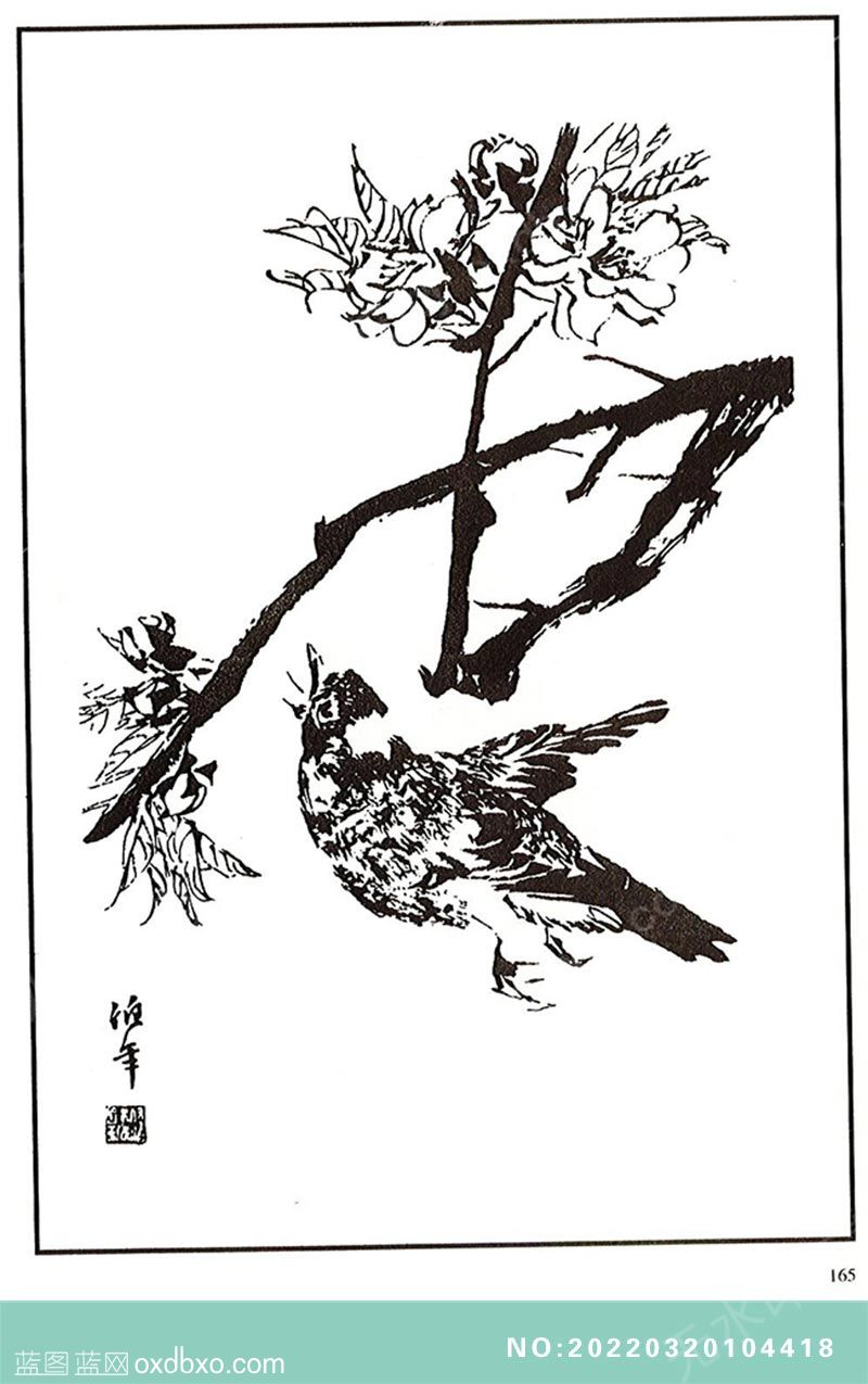 NO-20220320104418.jpg