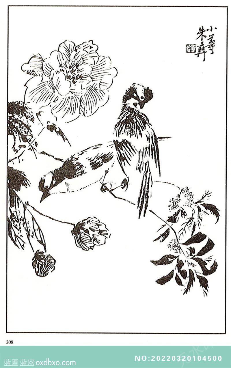 NO-20220320104500.jpg