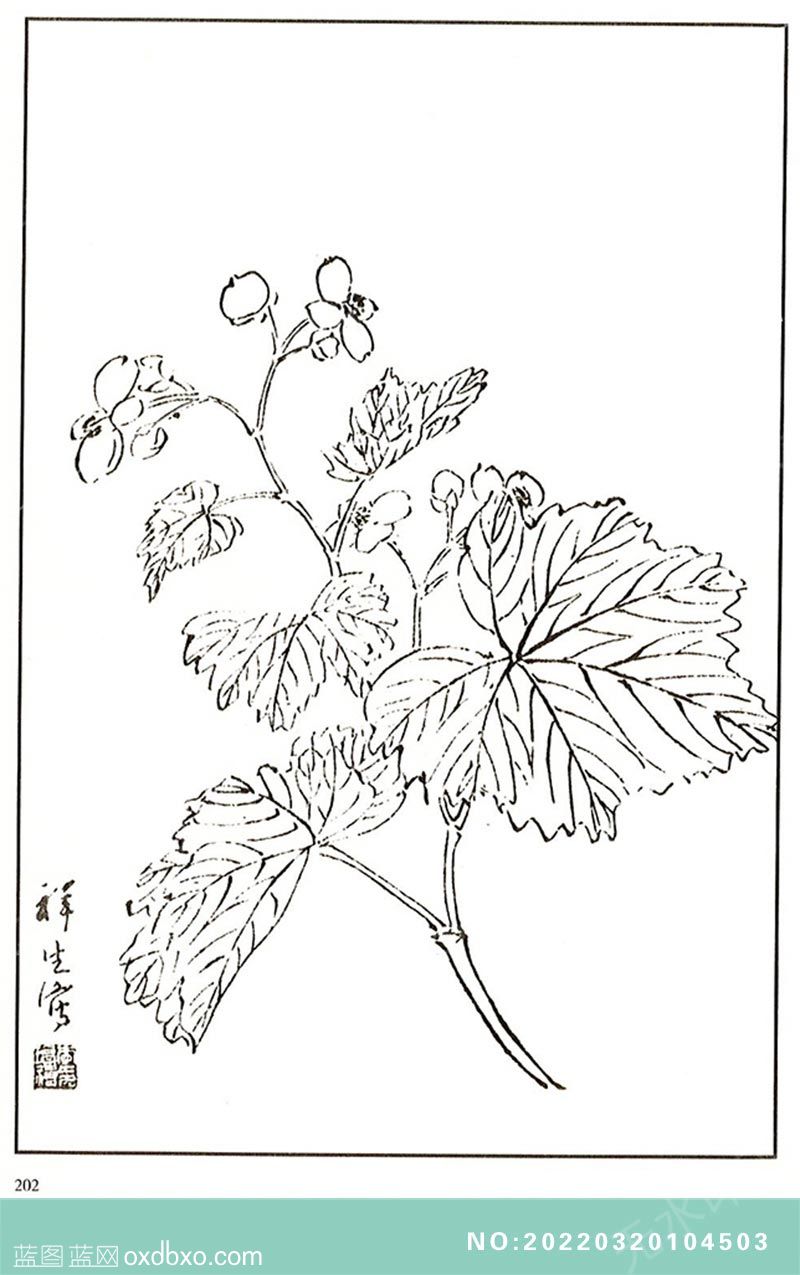 NO-20220320104503.jpg