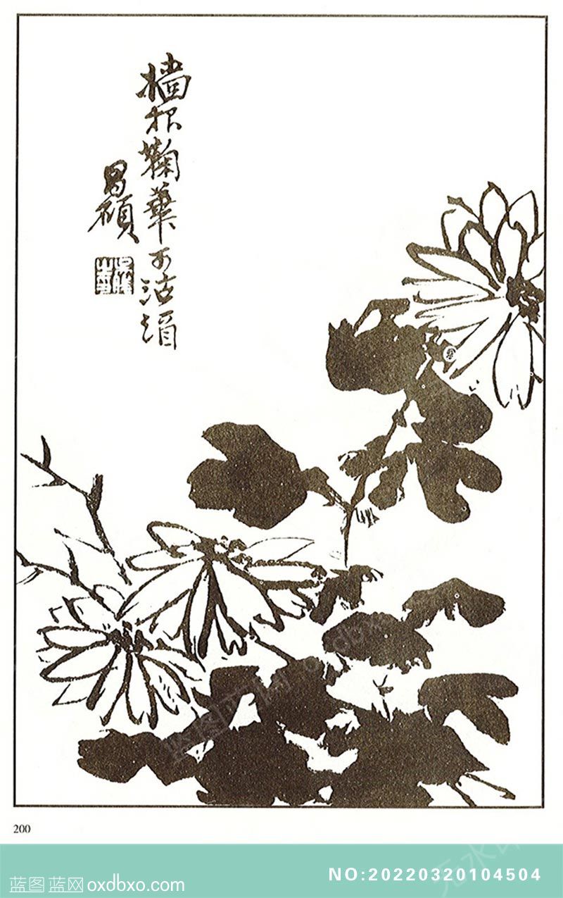 NO-20220320104504.jpg