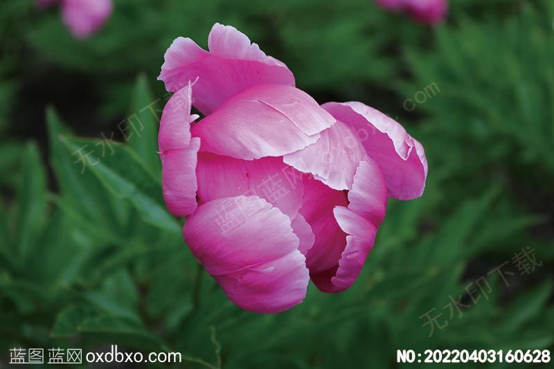 NO-20220403160628.jpg