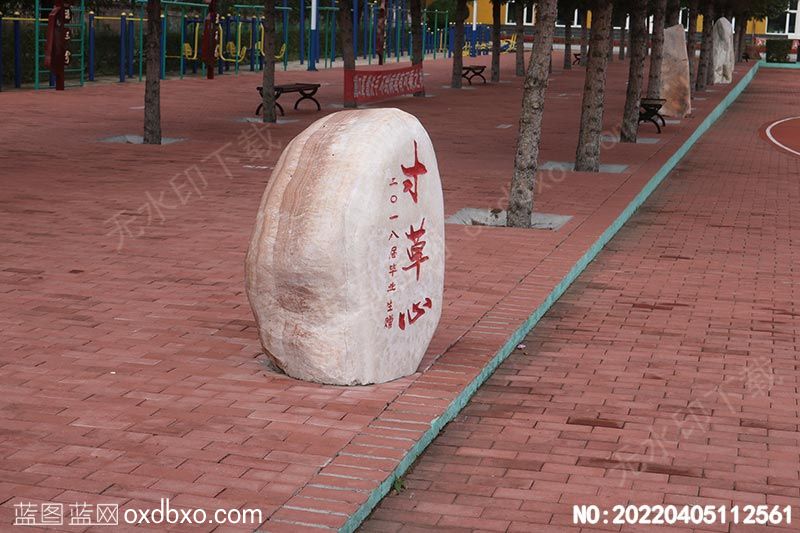NO-20220405112561.jpg