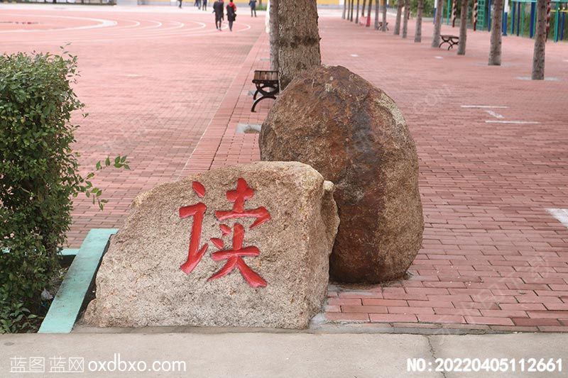 NO-20220405112661.jpg