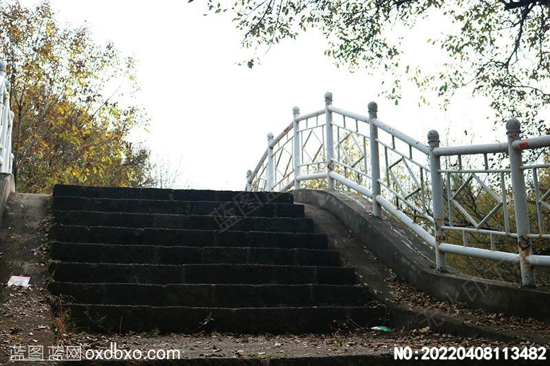 NO-20220408113482.jpg