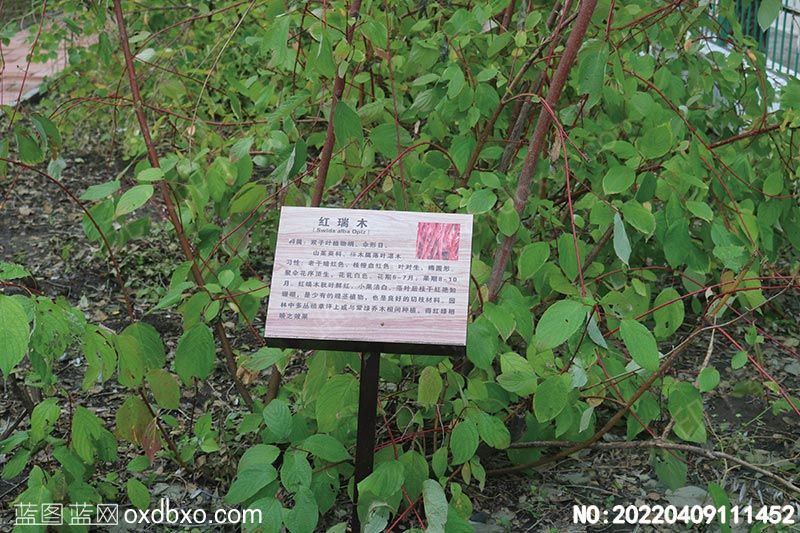 NO-20220409111452.jpg