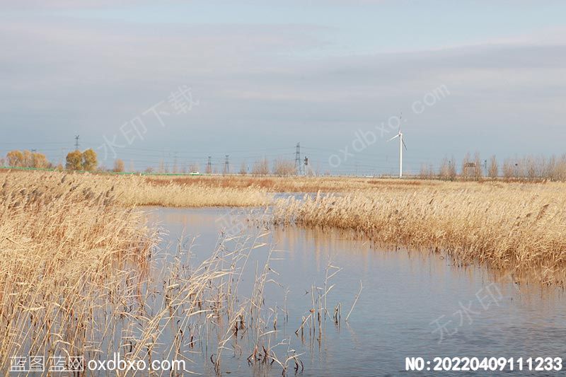 NO-20220409111233.jpg