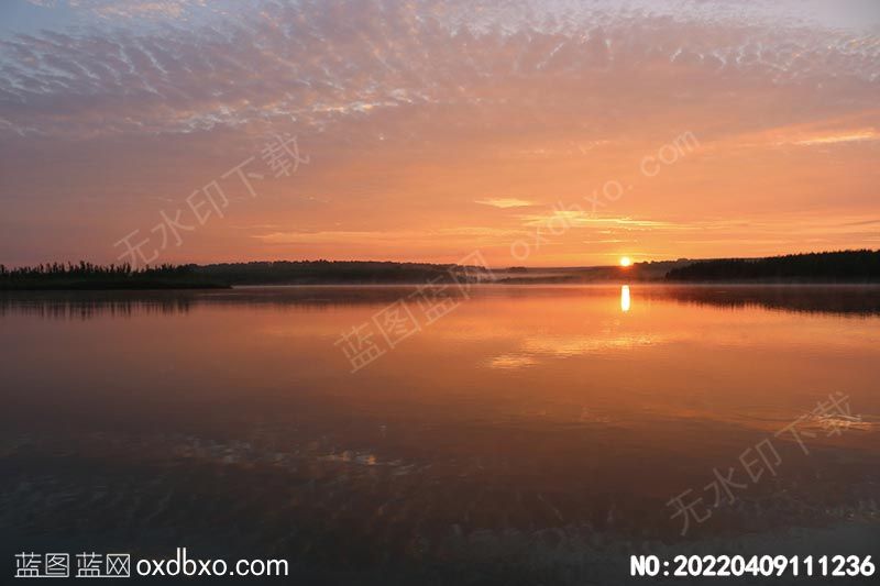 NO-20220409111236.jpg