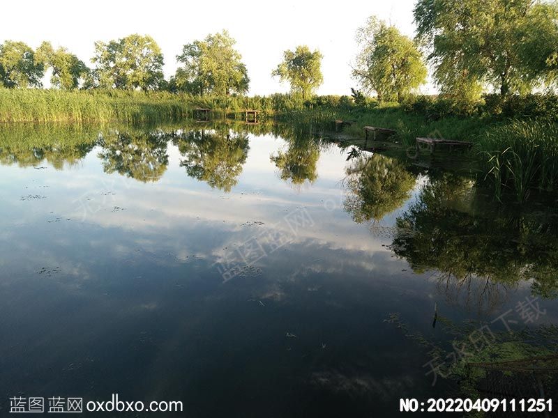 NO-20220409111251.jpg