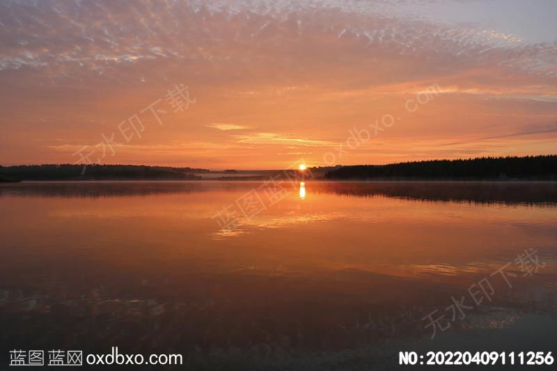 NO-20220409111256.jpg