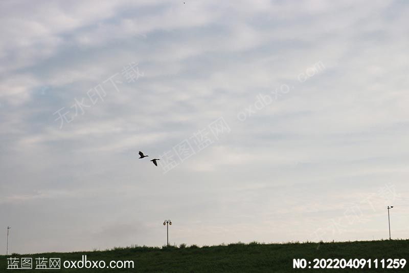 NO-20220409111259.jpg