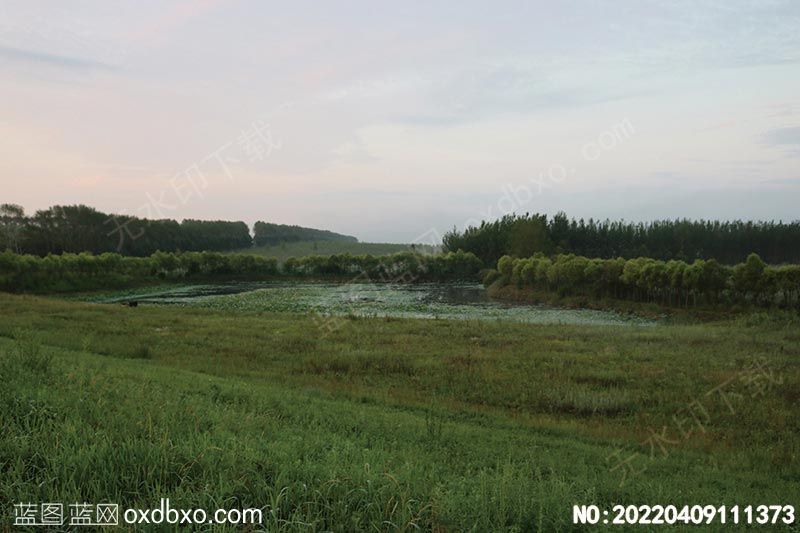 NO-20220409111373.jpg