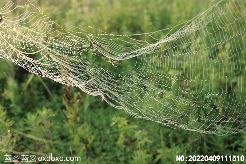 NO-20220409111510.jpg
