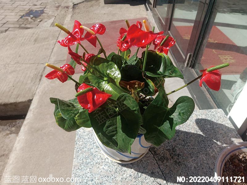 NO-20220409111721.jpg