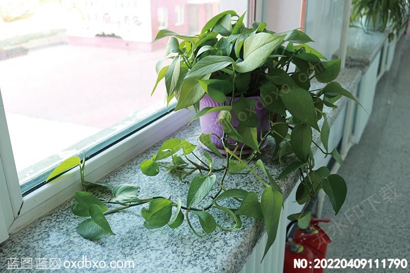 NO-20220409111790.jpg