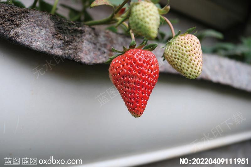 NO-20220409111951.jpg