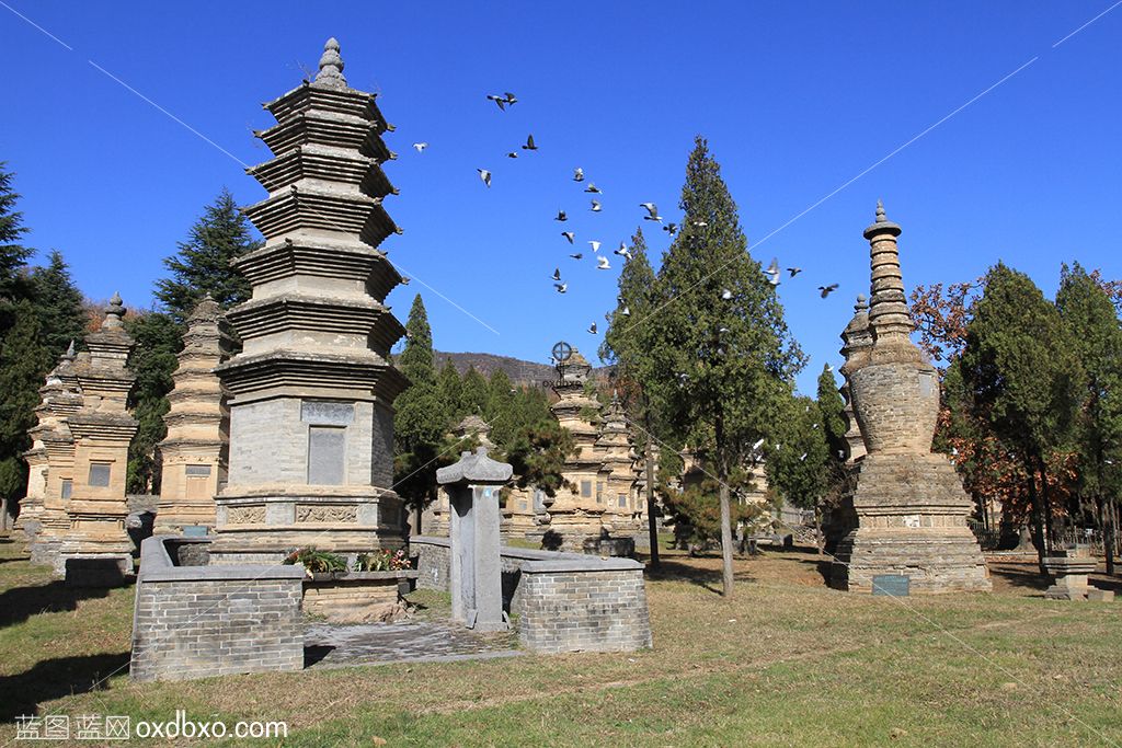 河南省少林寺塔林4摄影素材.jpg