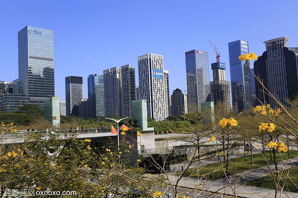 深圳市城市建筑3-sheying.jpg