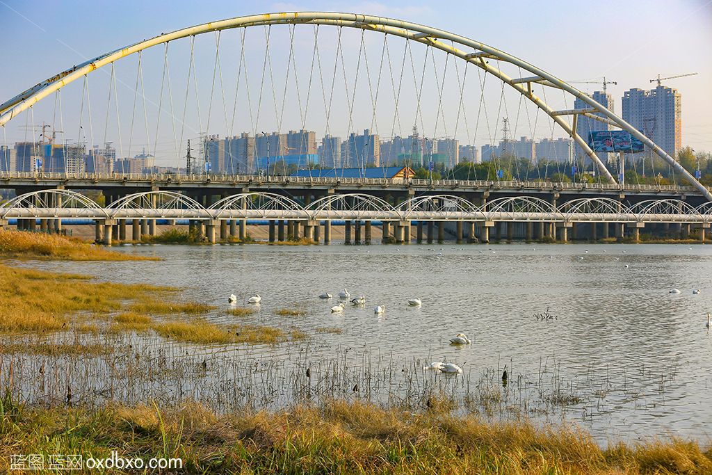 河南省三门峡天鹅湖2-sheing.jpg