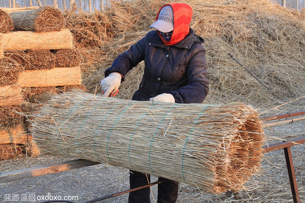 打苇帘1-sheying.jpg