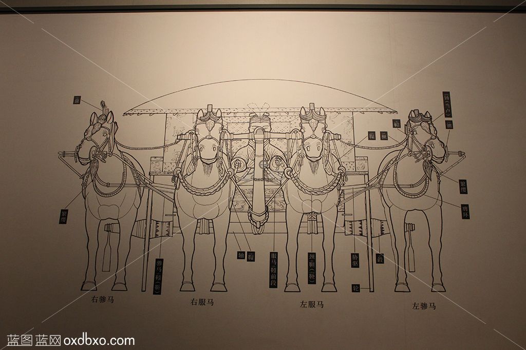 秦皇陵秦始皇铜车马解刨图详解图(2).jpg