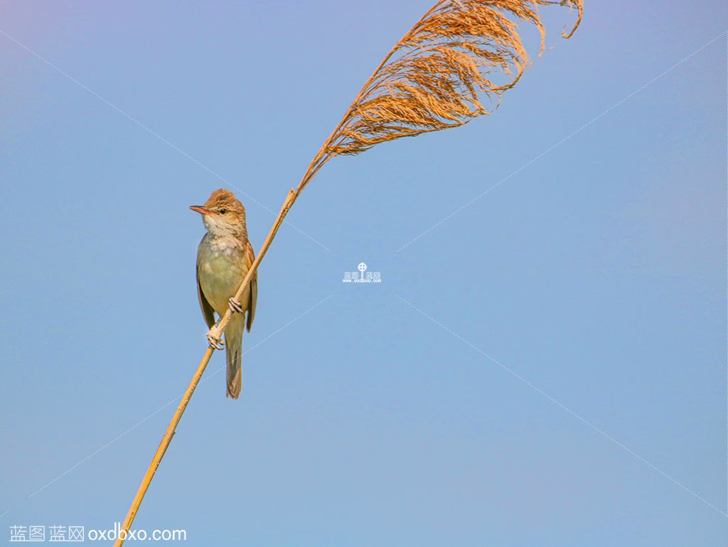 IMG_3042 拷贝.jpg