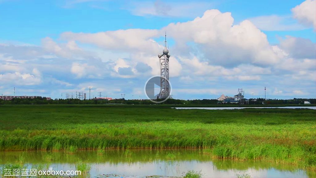 商用视频素材大庆湿地公园大庆国府湿地公园