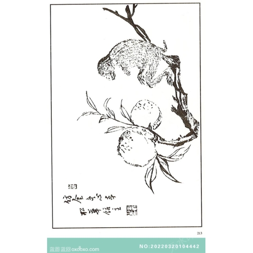 芥子园翎毛花卉画法中国传统国画素材_作品编号：NO:20220320104442