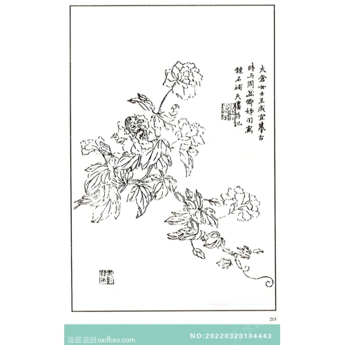 芥子园翎毛花卉画法中国传统国画素材_作品编号：NO:20220320104443