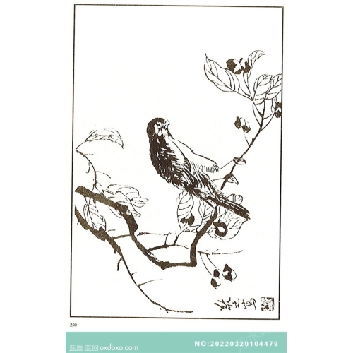 芥子园翎毛花卉山石花鸟画法中国传统国画素材_作品编号：NO:20220320104479