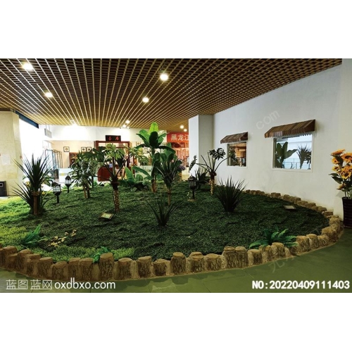 假景热带植物园草坪摄影素材编号:20220409111403