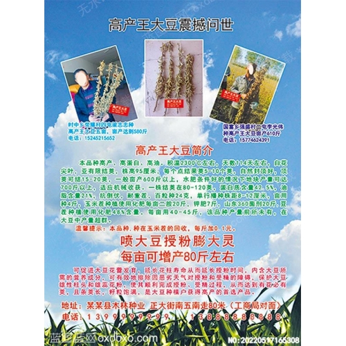 高产大豆宣传彩页宣传单喷大豆授粉膨大灵宣传海报彩页彩页设计素材_作品编号NO:20220517165308