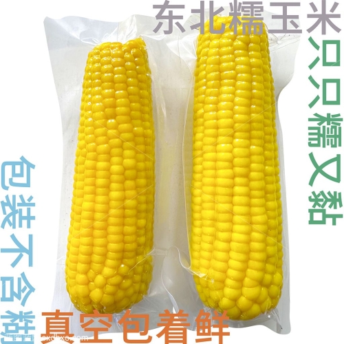 东北糯玉米黏玉米电商平面广告设计素材