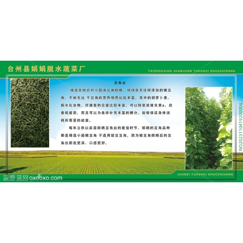 绿色食品豆角丝绿色农业干菜大地蓝天空绿色产业图板设计素材_编号NO2023110419200004