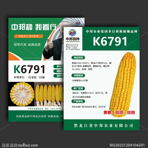 中邦种K6791玉米种子宣传彩页宣传单单页设计素材_NO20231204104201