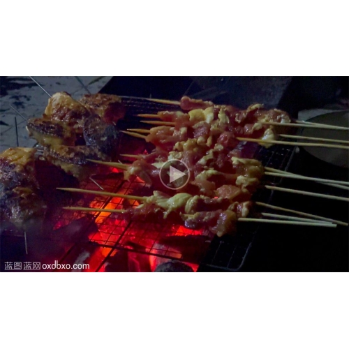 碳火烤羊肉串碳烤串视频烧烤视频素材
