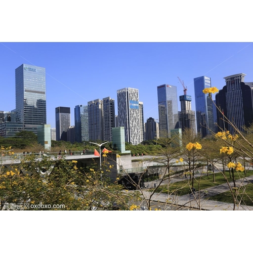 深圳市城市建筑城市风貌 广场 高楼大厦 风景 风光 景观 商业摄影 商用素材