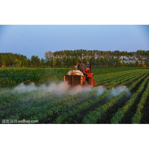 喷叶面肥 施肥 农业 农民 种地 劳动 大地 商业摄影商用图片