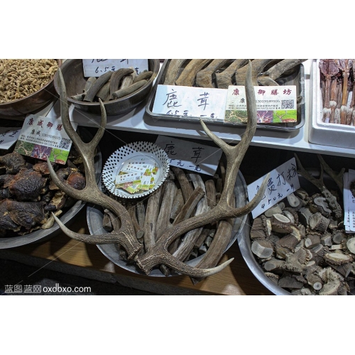 鹿茸