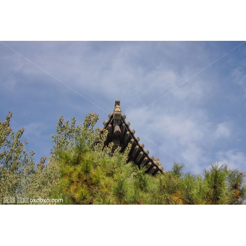 山西 华严寺 (2)