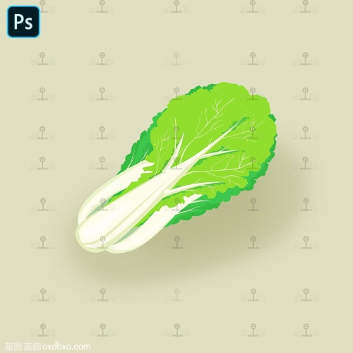 免费psd分层大白菜蔬菜手绘卡通小白菜