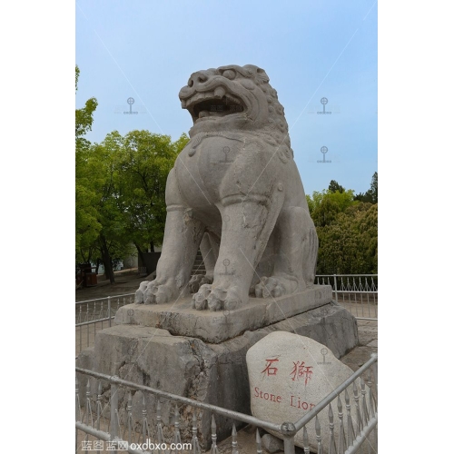 西安乾陵石狮子