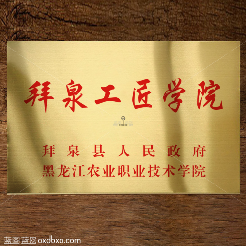 免费素材高仿真钛金牌样机活层可更改文字